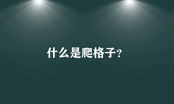 什么是爬格子？