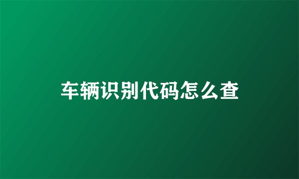车辆识别代码怎么查