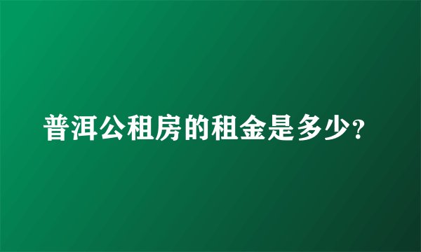 普洱公租房的租金是多少？