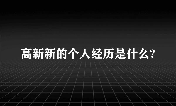 高新新的个人经历是什么?