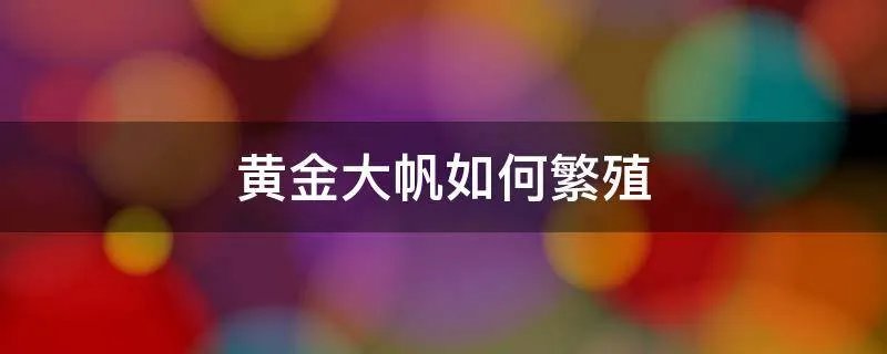 黄金大帆如何繁殖