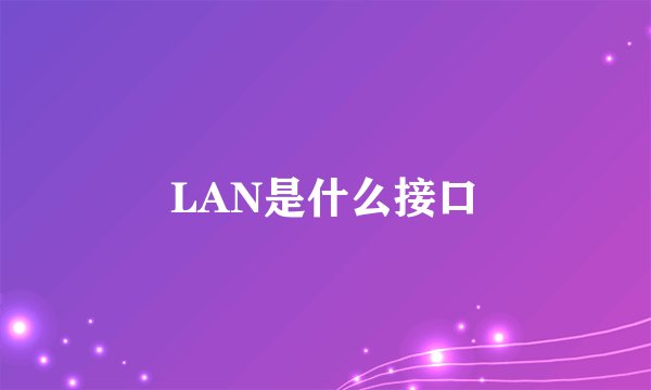 LAN是什么接口