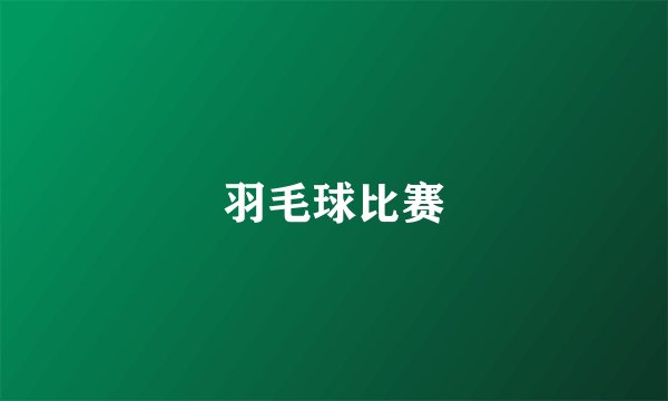 羽毛球比赛