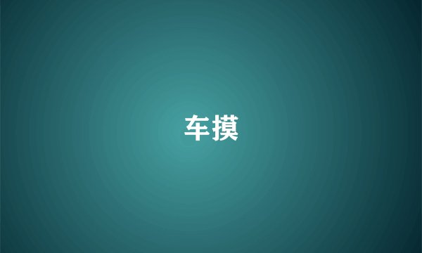 车摸