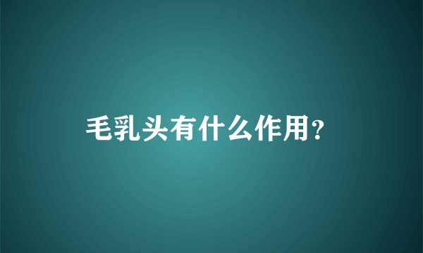 毛乳头有什么作用？