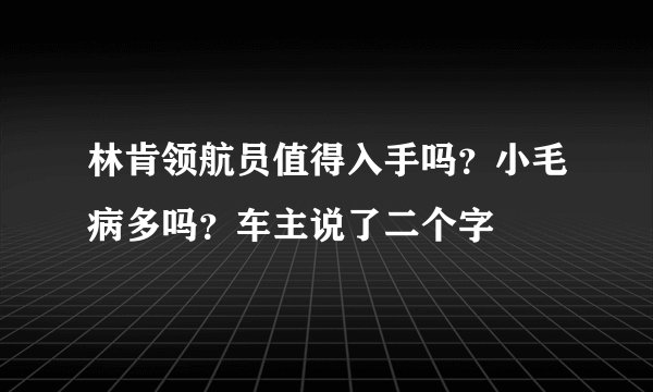 林肯领航员值得入手吗?小毛病多吗?车主说了二个字