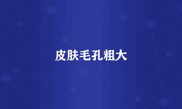 皮肤毛孔粗大