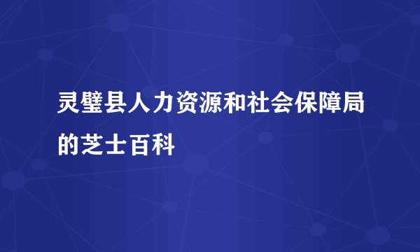 灵璧县人力资源和社会保障局的芝士百科