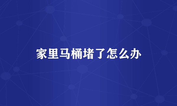 家里马桶堵了怎么办