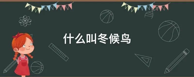 什么叫冬候鸟