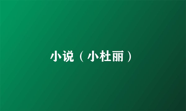 小说(小杜丽)