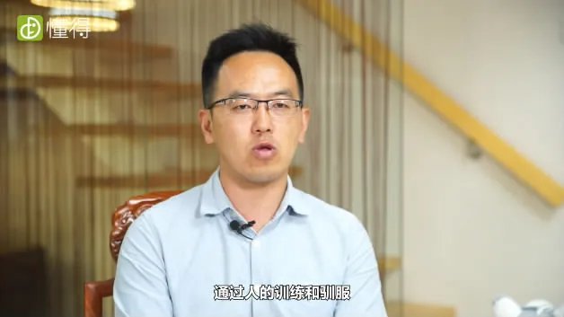 狗的品种有哪些