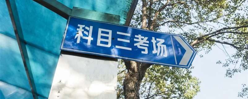 科目三考哪几项
