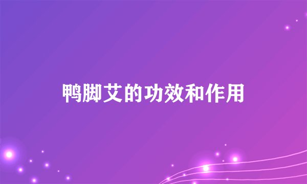 鸭脚艾的功效和作用