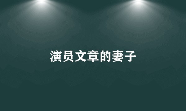 演员文章的妻子