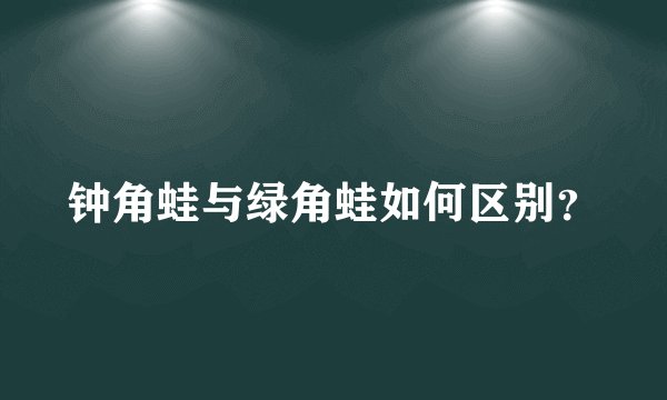 钟角蛙与绿角蛙如何区别?