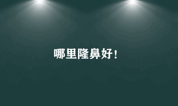 哪里隆鼻好！