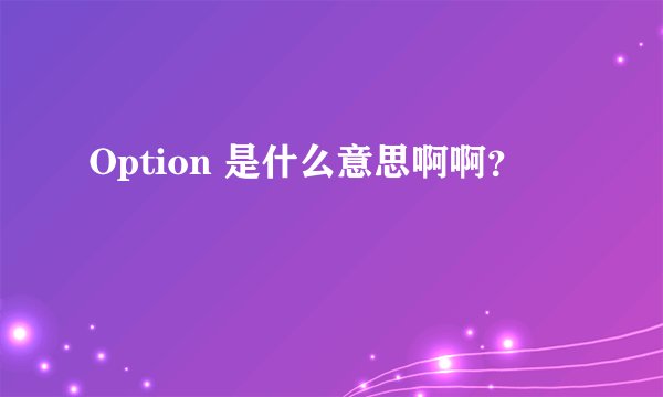 Option 是什么意思啊啊?