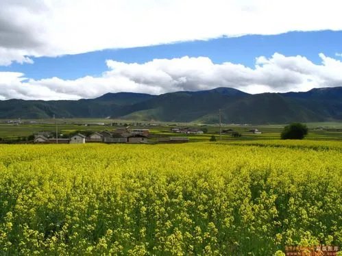 四川旅游线路有哪些?