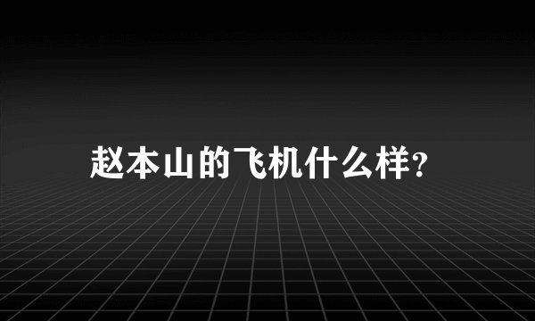 赵本山的飞机什么样？