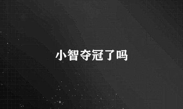 小智夺冠了吗