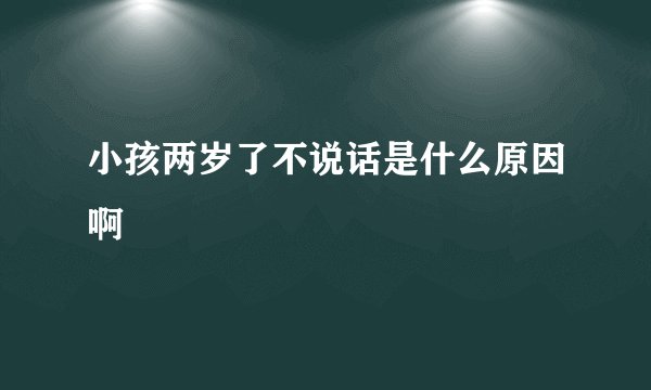 小孩两岁了不说话是什么原因啊