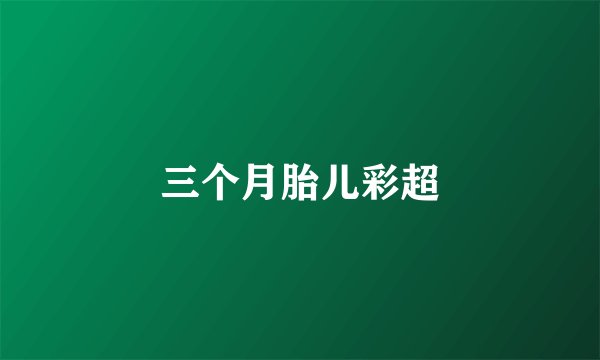 三个月胎儿彩超