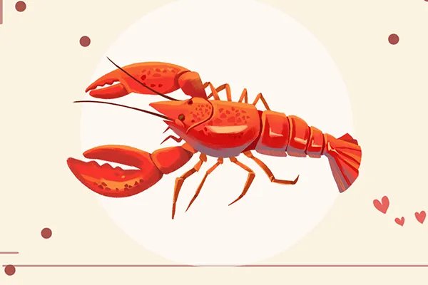 肾虚吃什么好