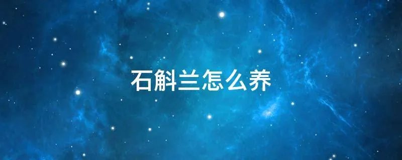 石斛兰怎么养