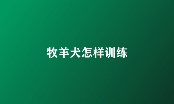 牧羊犬怎样训练