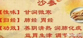 北沙参与人参