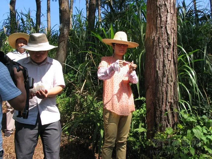 有害生物防治和有害生物防制