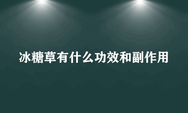 冰糖草有什么功效和副作用