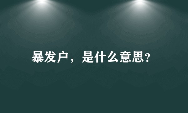暴发户,是什么意思?