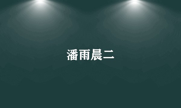 潘雨晨二