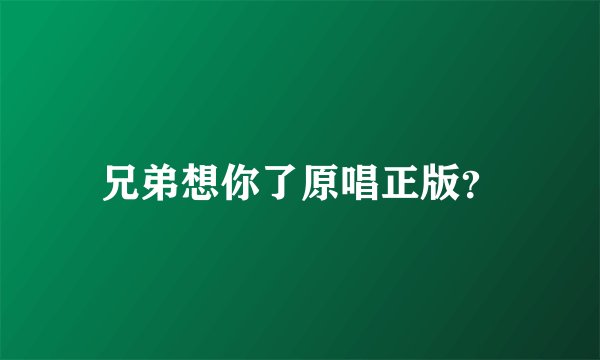 兄弟想你了原唱正版?