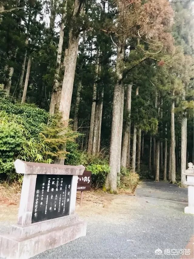 请问最近有没有去过高野山的朋友？