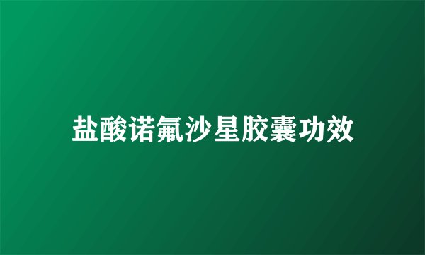 盐酸诺氟沙星胶囊功效