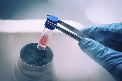 供卵试管费用明细-2023年厦门捐精试管多少钱？试管费用详细参考