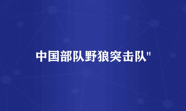 中国部队野狼突击队