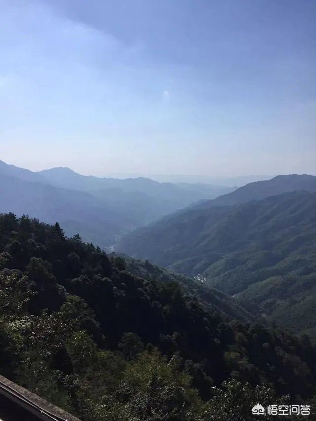 怎么自学插画?
