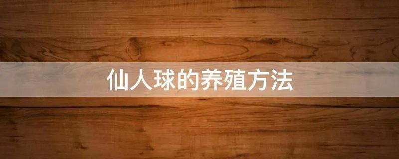 仙人球的养殖方法