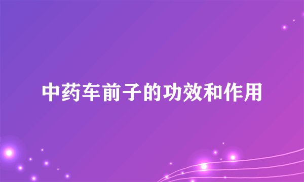中药车前子的功效和作用