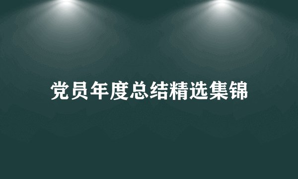 党员年度总结精选集锦