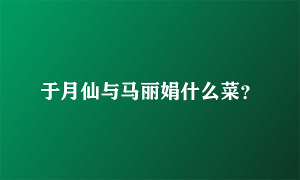 于月仙与马丽娟什么菜？