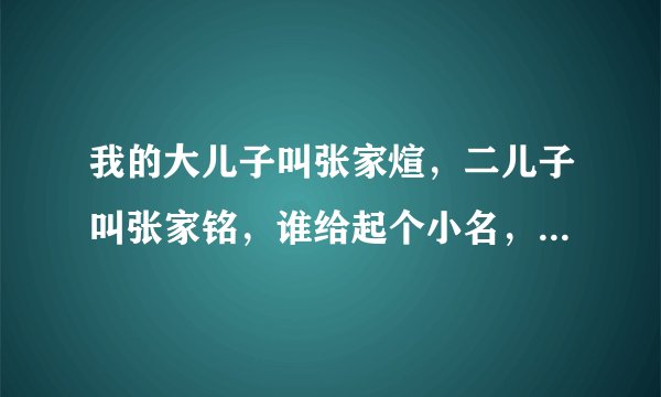 我的大儿子叫张家煊，二儿子叫张家铭，谁给起个小名，谢谢了？