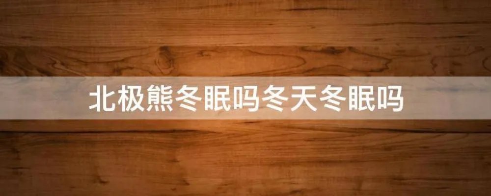北极熊冬眠吗冬天冬眠吗