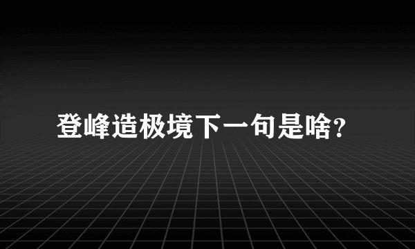 登峰造极境下一句是啥？