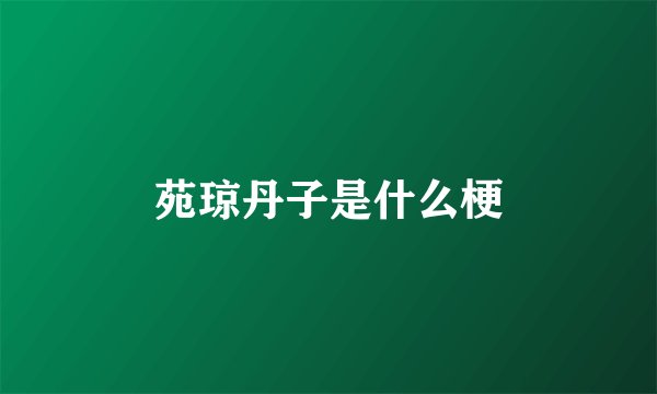 苑琼丹子是什么梗