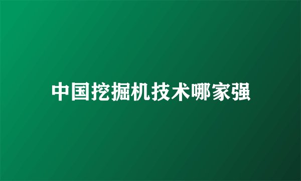 中国挖掘机技术哪家强